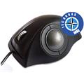 E38-76A31D-M017 desktop version Marine