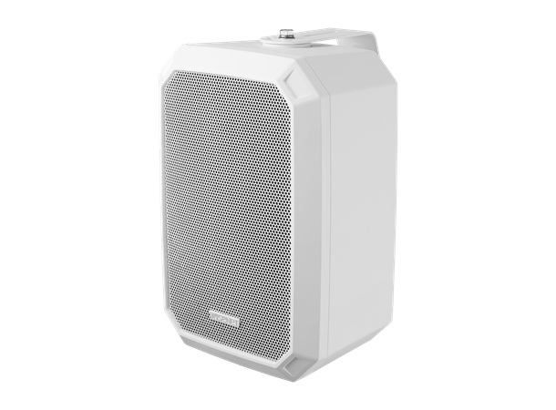 SPA-W100W IP Wall Speaker White 