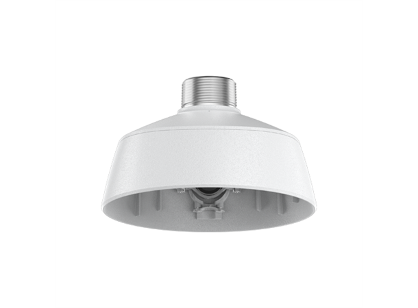 H6A-MT-NPTA1 Pendant adapter, NPT, H6A 