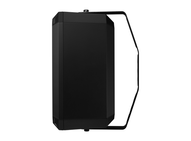 SPA-W100B IP Wall Speaker Black 